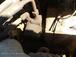 Gallery image 59